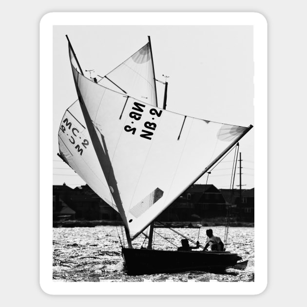 Sailing Wing on Wing Sticker by fparisi753